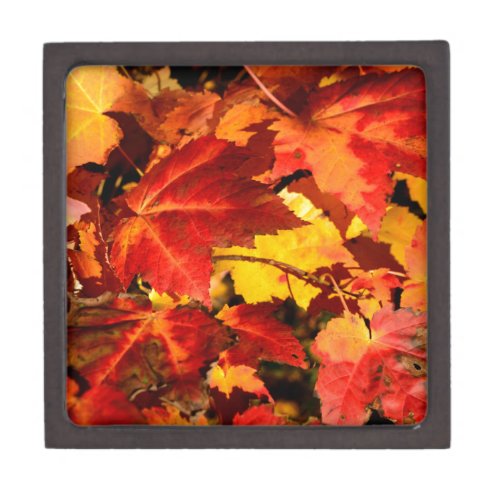 Colorful Autumn Leaves gold red orange maple leaf Gift Box
