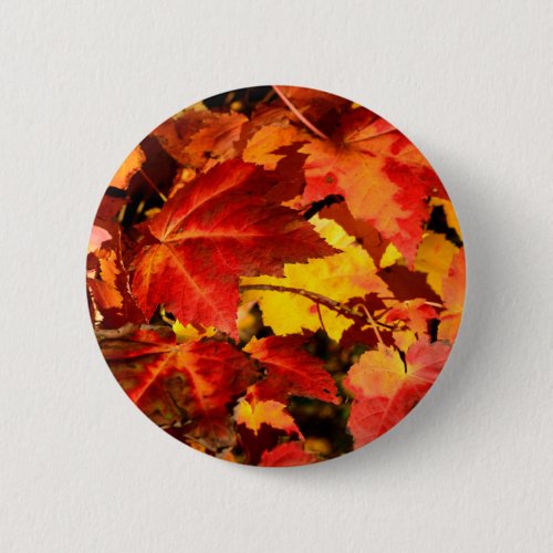 Colorful Autumn Leaves gold red orange maple leaf Pinback Button