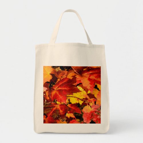 Colorful Autumn Leaves gold red orange maple leaf Tote Bag