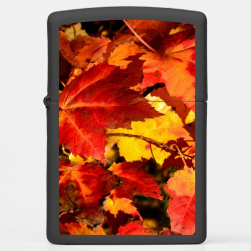 Colorful Autumn Leaves gold red orange maple leaf Zippo Lighter