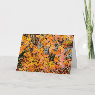 Colorful Autumn Leaves Happy Fall Greeting Card