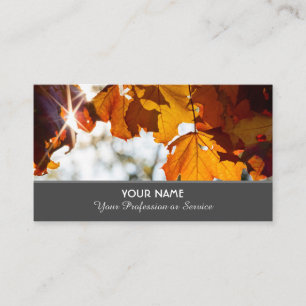 Colorful autumn leaves in golden sunset business c card