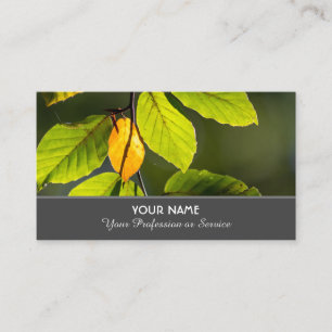Colorful autumn leaves in golden sunset business card