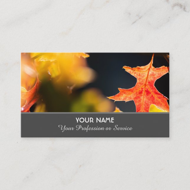 Colorful autumn leaves in golden sunset mood business card (Front)