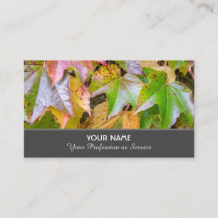 Colorful autumn leaves in indian summer business card