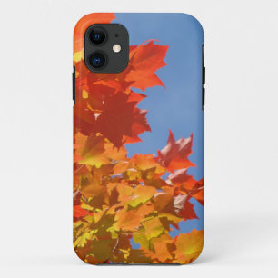 Colorful Autumn Leaves iPhone cases Blue Skies