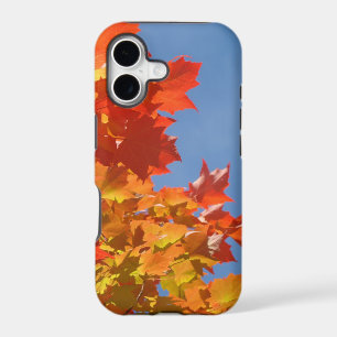 Colorful Autumn Leaves iPhone cases Blue Skies