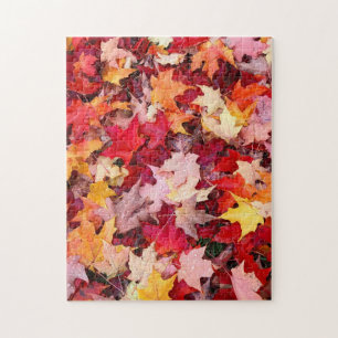Colorful Autumn Leaves Jigsaw Puzzle