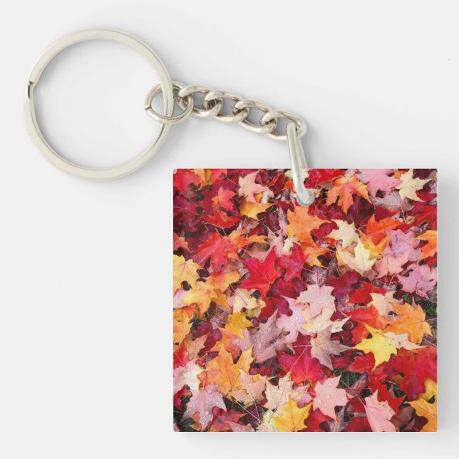 Colorful Autumn Leaves Keychain (Front)