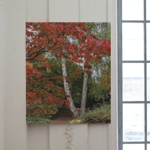 Colorful Autumn Leaves Landscape Gallery Wrap