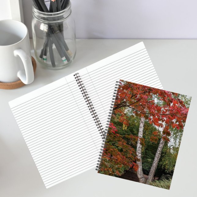 Colorful Autumn Leaves Landscape Notebook (In Situ)