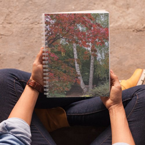 Colorful Autumn Leaves Landscape Notebook
