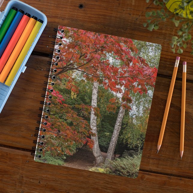 Colorful Autumn Leaves Landscape Notebook (In Situ)