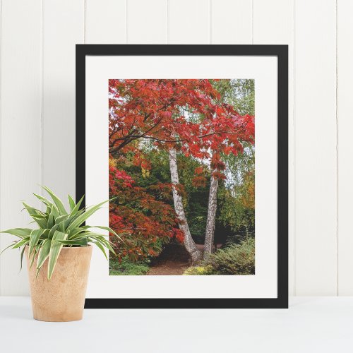 Colorful Autumn Leaves Landscape Poster