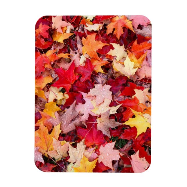 Colorful Autumn Leaves Magnet (Vertical)