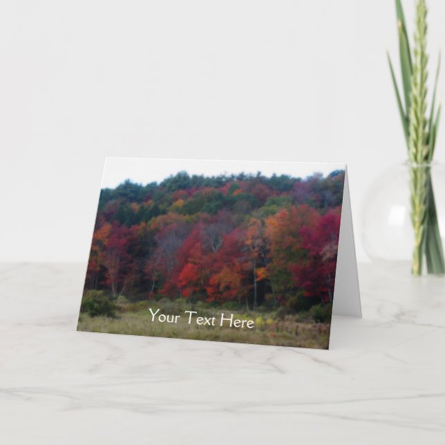 Colorful Autumn Leaves Nature Photo Card (Front)