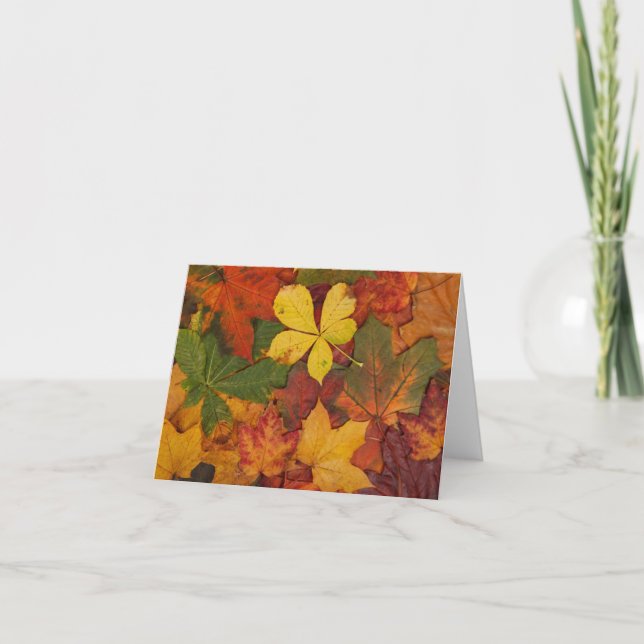 Colorful Autumn Leaves Note Card (Front)