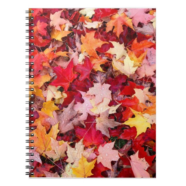 Colorful Autumn Leaves Notebook (Front)