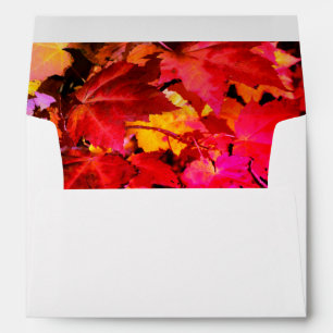 Colorful Autumn leaves orange red yellow colors Envelope