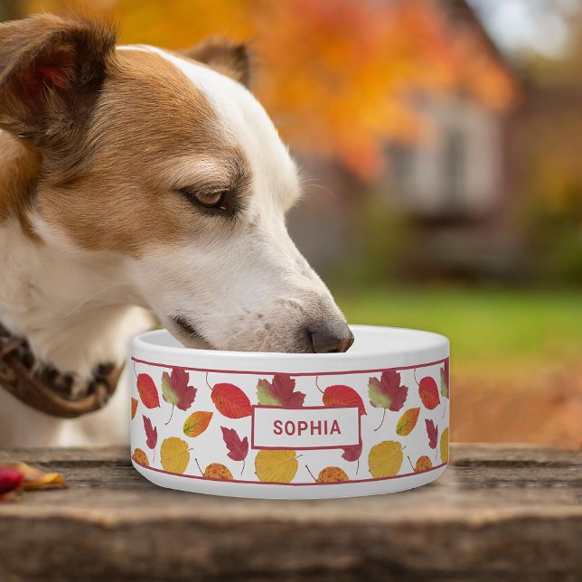 Colorful Autumn Leaves Pattern & Custom Pet Name Bowl (Disclaimer: This image is a digital mockup thus items may not be in scale.)