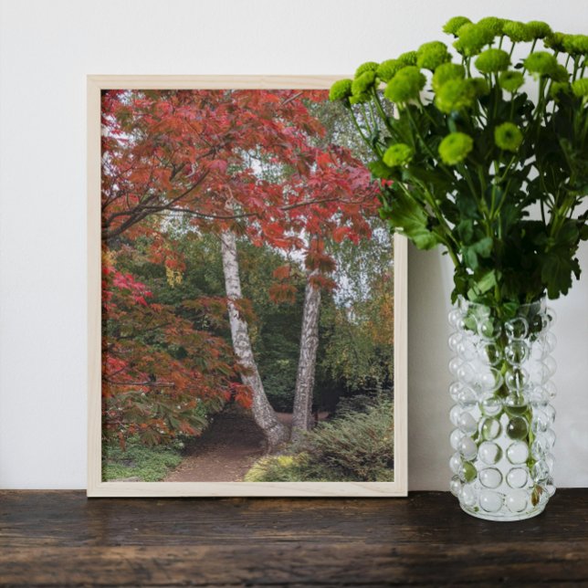 Colorful Autumn Leaves Photo Print (In Situ Framed)