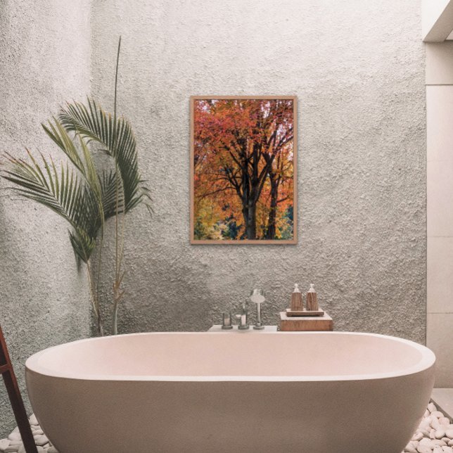 Colorful Autumn Leaves Photographic Photo Print (In Situ Framed)