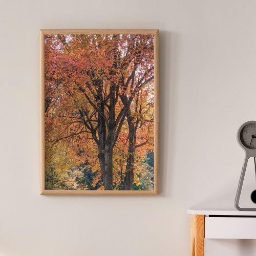 Colorful Autumn Leaves Photographic Poster