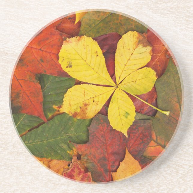 Colorful Autumn Leaves Sandstone Coaster (Front)