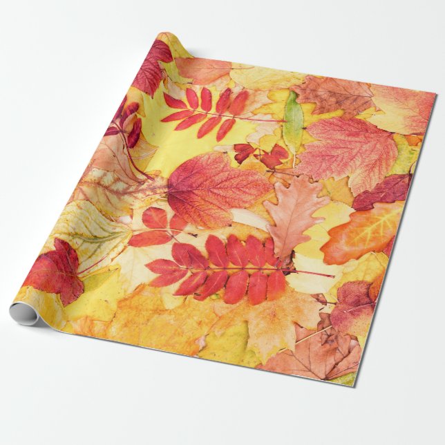 Colorful autumn leaves. Tree fallen leaf pattern.  Wrapping Paper (Unrolled)