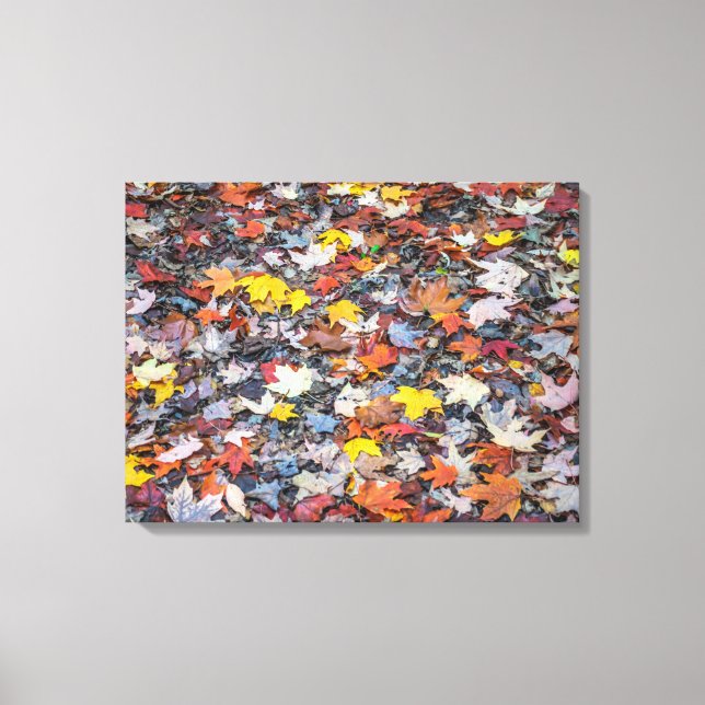 Colorful autumn leaves view canvas print (Front)