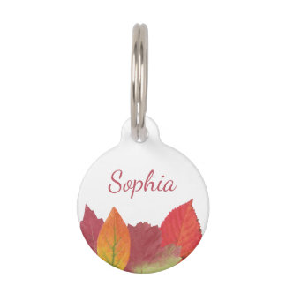 Colorful Autumn Leaves With Pet's Name And Number Pet ID Tag
