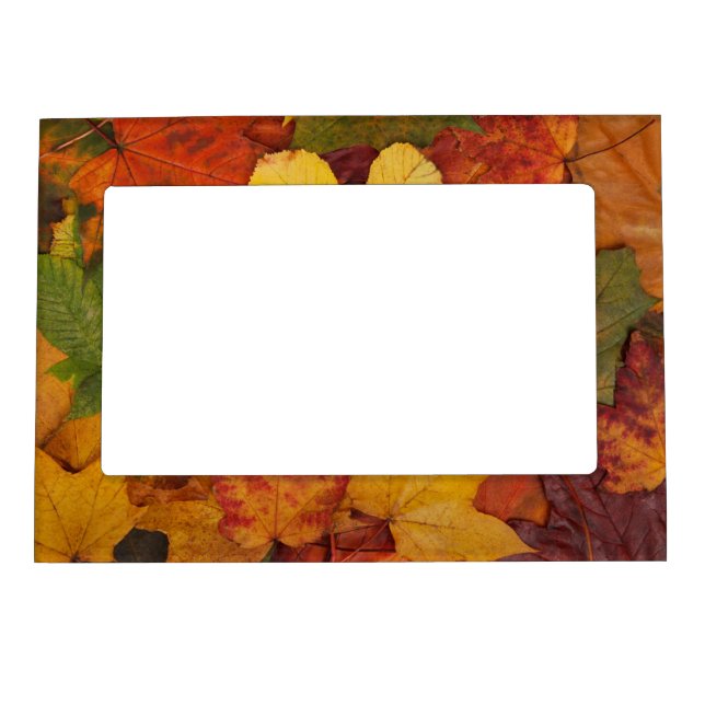 Colorful Autumn Magnetic Photo Frame (Front)