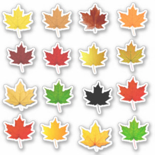 Colorful Autumn Maple Leaf Waterproof Labels