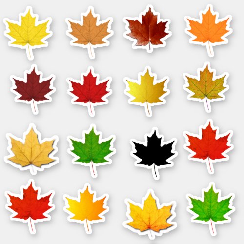 Colorful Autumn Maple Leaf Waterproof Labels