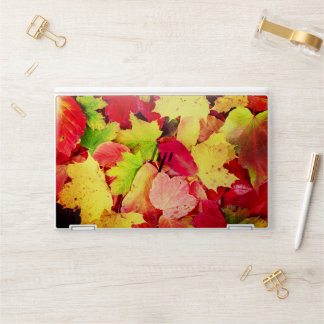Colorful Autumn Maple Leaves Fall Foliage Nature HP Laptop Skin