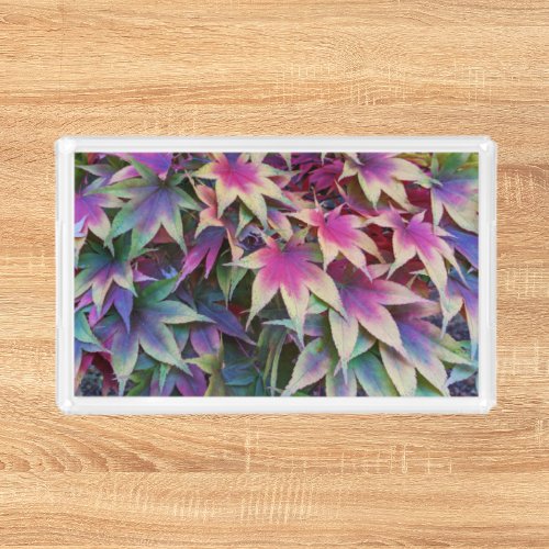 Colorful Autumn Maple Leaves Floral Acrylic Tray