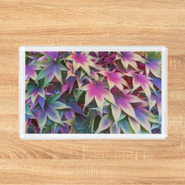Colorful Autumn Maple Leaves Floral Acrylic Tray (Creator Uploaded)