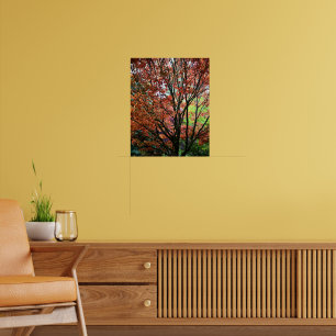 Colorful Autumn Maple Tree Leaves Poster