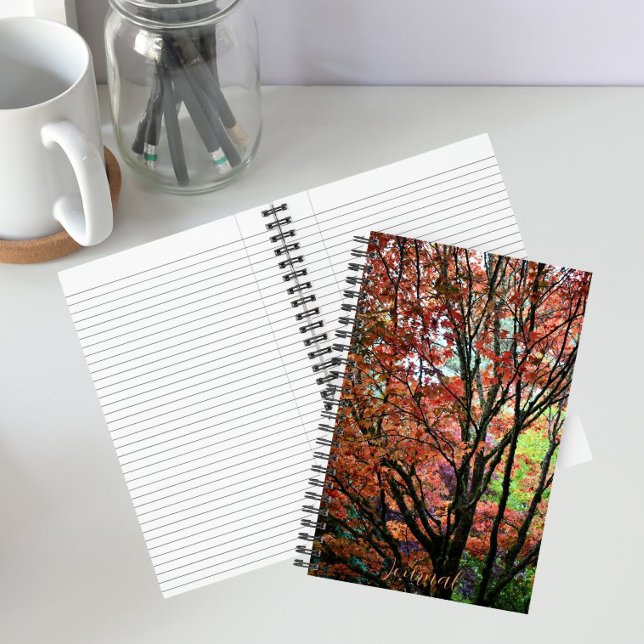 Colorful Autumn Maple Tree Notebook (In Situ)