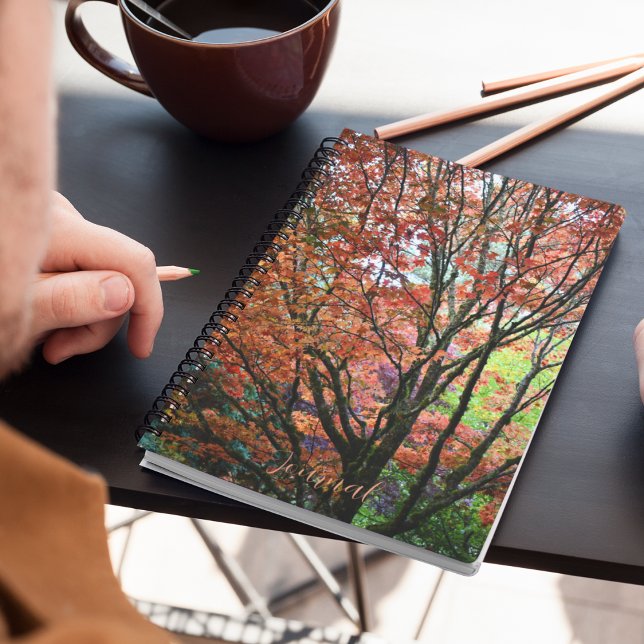 Colorful Autumn Maple Tree Notebook (In Situ)