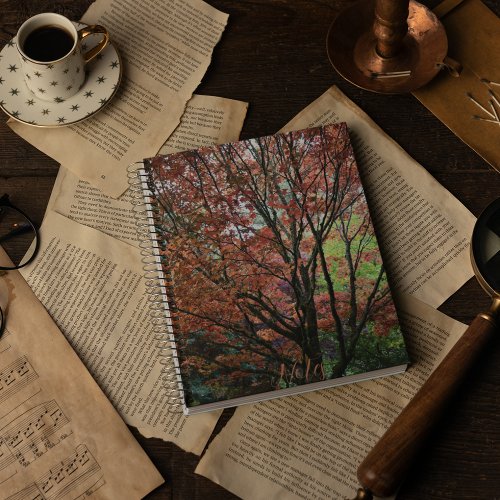 Colorful Autumn Maple Tree Notebook