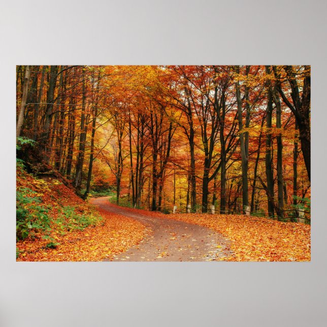 Colorful Autumn Path Poster (Front)