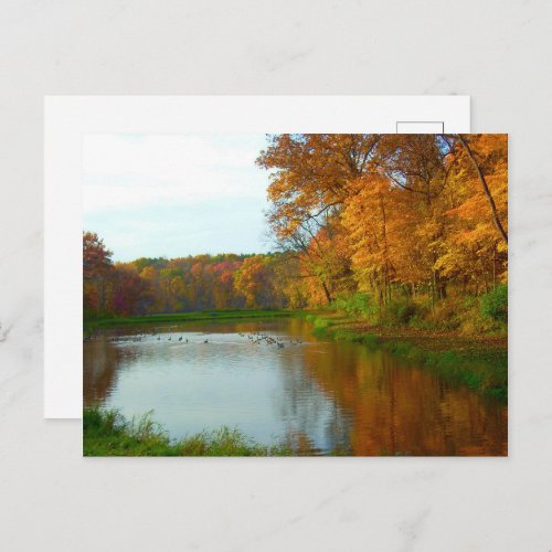Colorful Autumn Scene At The Lake Postcard
