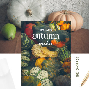  Colorful autumn squash and pumpkins Holiday Postcard