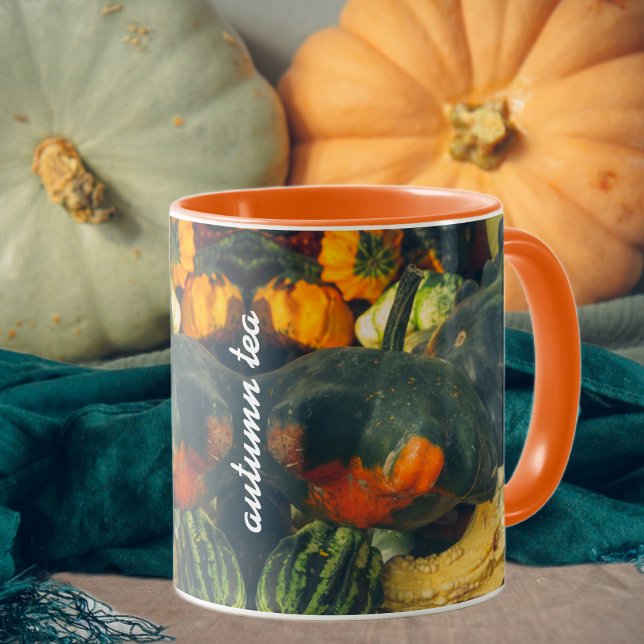  Colorful autumn squash and pumpkins Mug (Creator Uploaded)