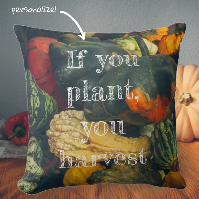  Colorful autumn squash and pumpkins Throw Pillow (Creator Uploaded)