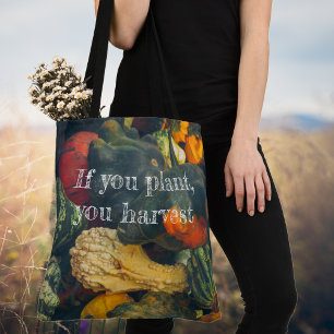 Colorful autumn squash and pumpkins Tote Bag