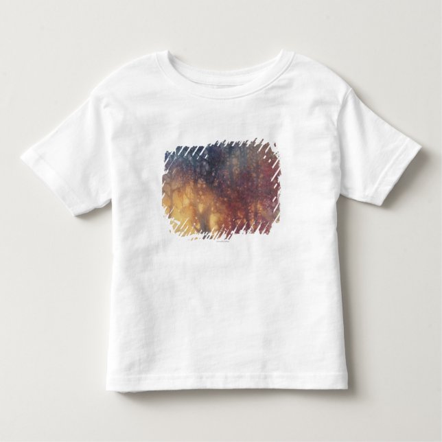 Colorful Autumn Toddler T-shirt (Front)