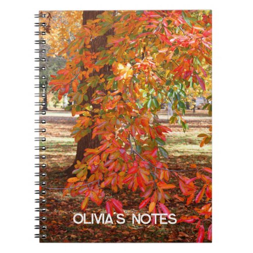 Colorful Autumn Tree Personalized Notebook