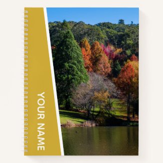 Colorful Autumn Trees, Botanical Garden Gold